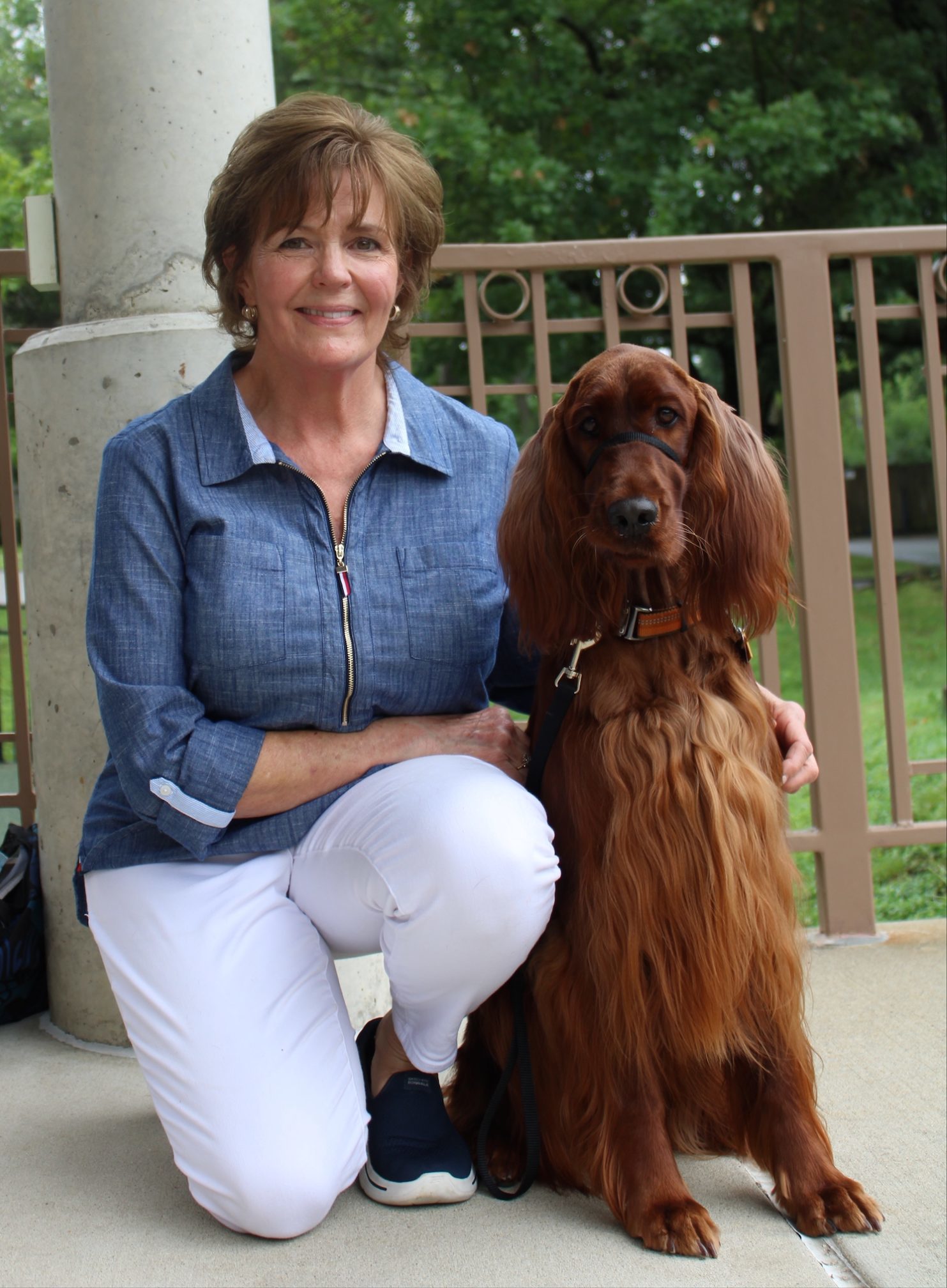 WAGS is proud of this team (Irish Setter)