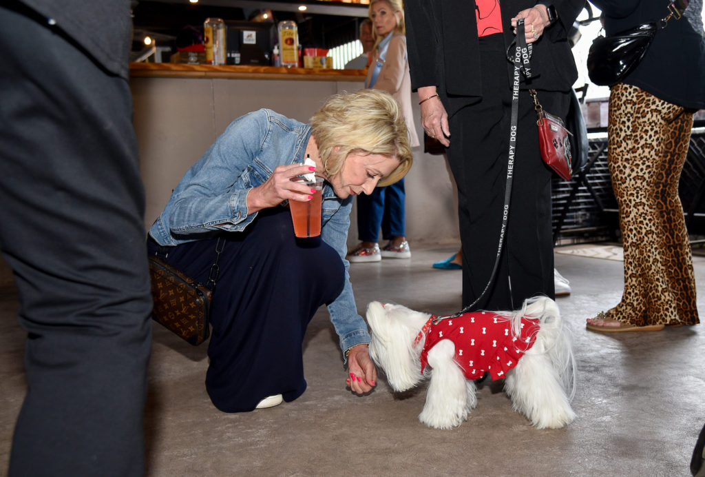 Maggie our Maltese Therapy dog giving a sniff to a patron.