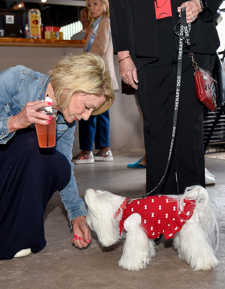 Maggie our Maltese Therapy dog giving a sniff to a patron.