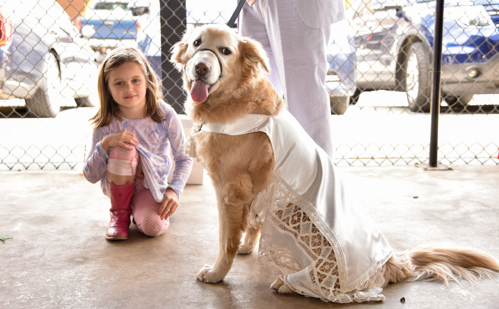 Kneeling child enjoying Millie our adored golden in lace.