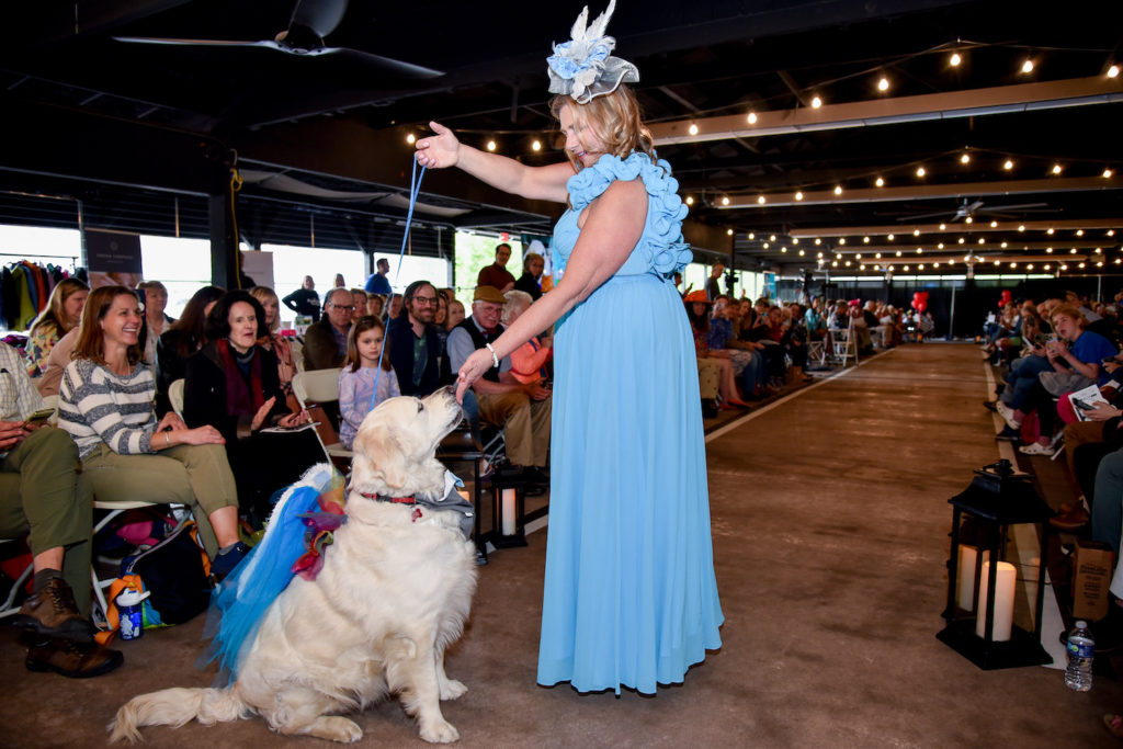 Opening the Runway is a large Golden Retriever with Pegasus wings. Model in light blue dress and Fascinator