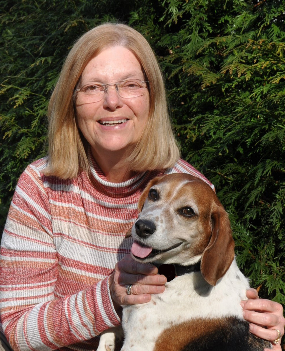 DOTTIE AND HER TEAM BEAGLE TOBEY