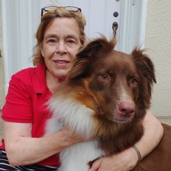 Therapy Team Gail and Rusty (red Australian Shepherd)