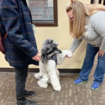 JB , a party poodle throws up a paw to a Hosparus employee on a visit