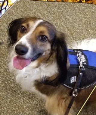 Yogi at the Airport